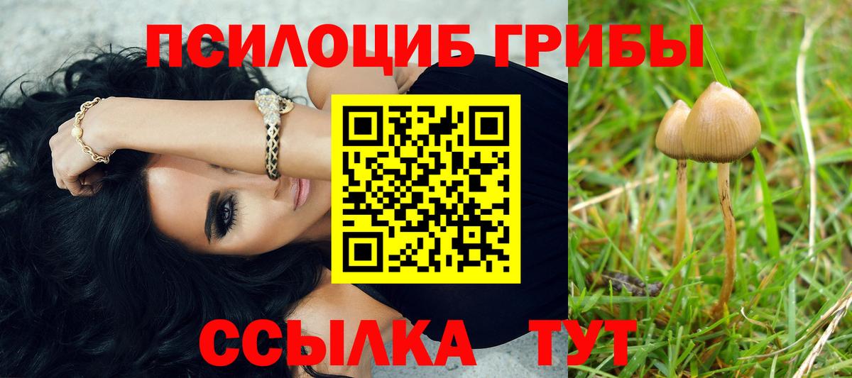Троицк  Псилоцибиновые грибы мухоморы  Вход с VPN 
